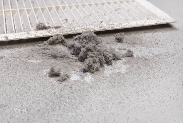 Best Commercial Air Duct Cleaning  in Dalton, OH